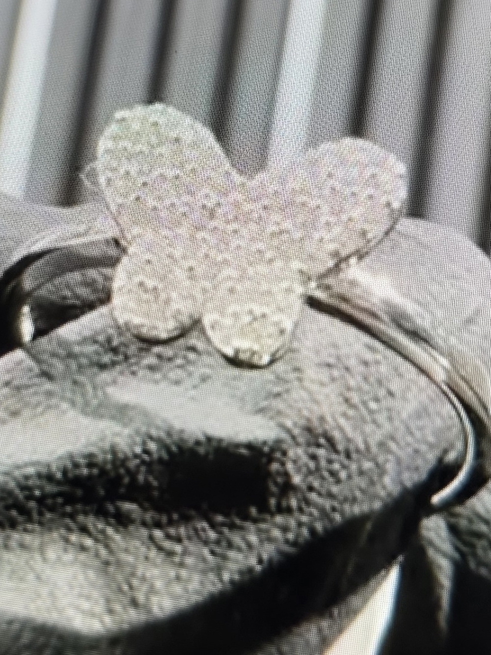 Dazzling Sterling Silver, With Moissanite Clusters. Butterfly Ring for Women